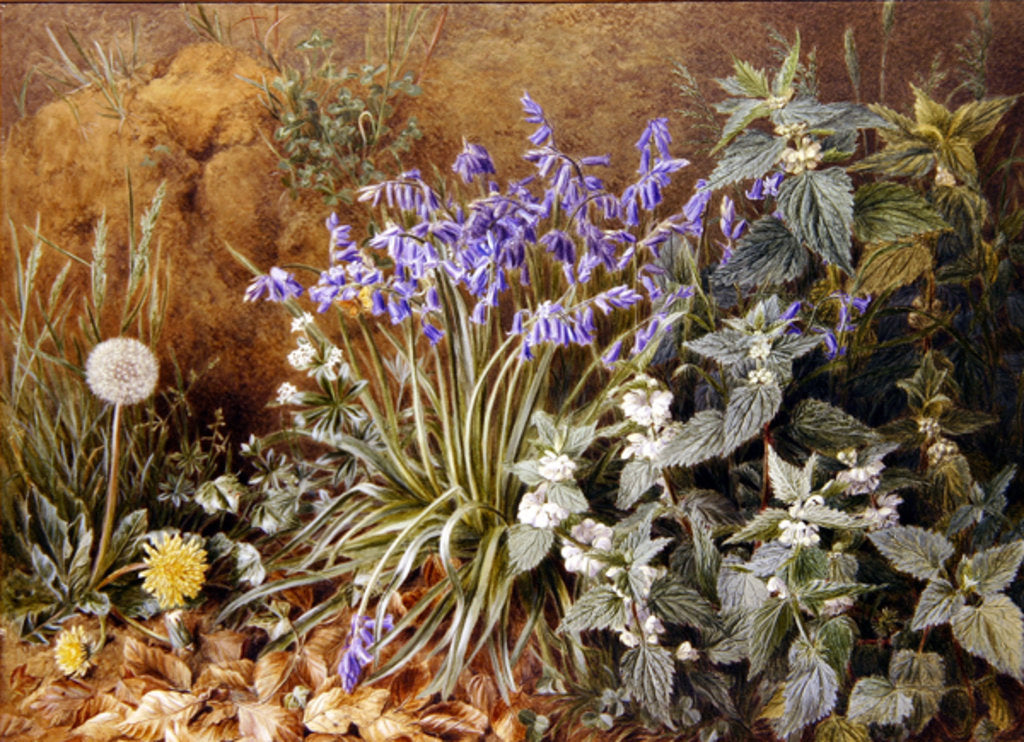 Detail of Wild Flowers by Marian Emma Chase