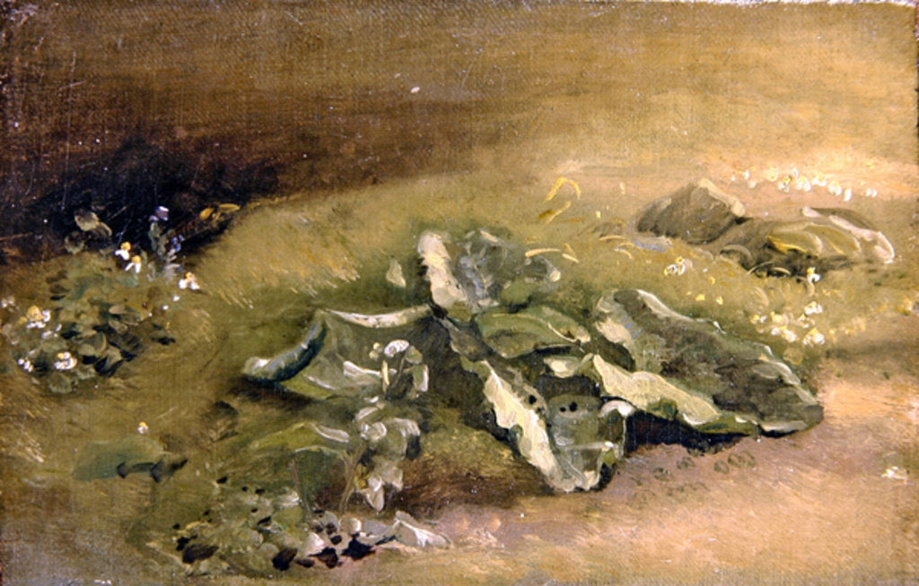 Detail of A Study of Burdock by John Constable