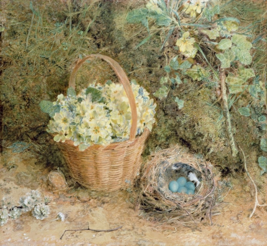 Detail of Chaffinch's Nest with Primroses by William Henry Hunt