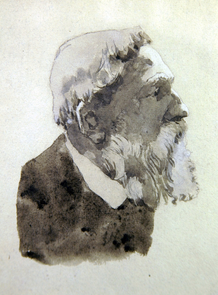 Detail of Portrait study of August Rodin by Gwen John