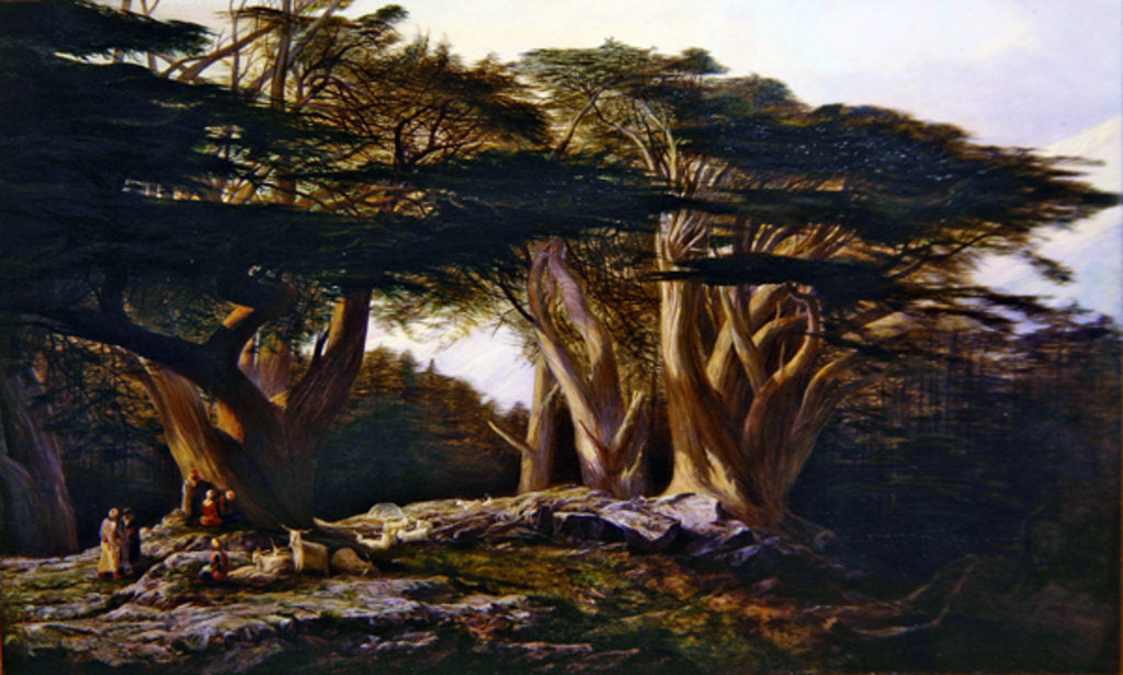 Detail of The Cedars of Lebanon, 1861 by Edward Lear