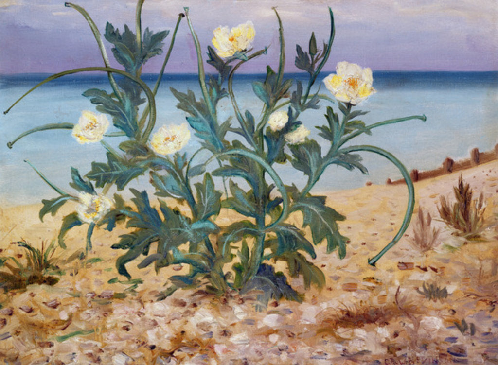 Detail of Sand Dunes, East Coast, 1944 by Christopher Richard Wynne Nevinson