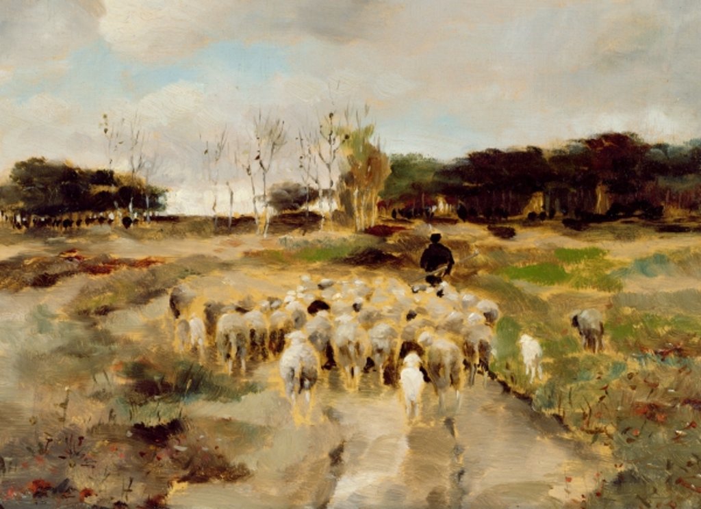 Detail of Sheep Flock by Anton Mauve