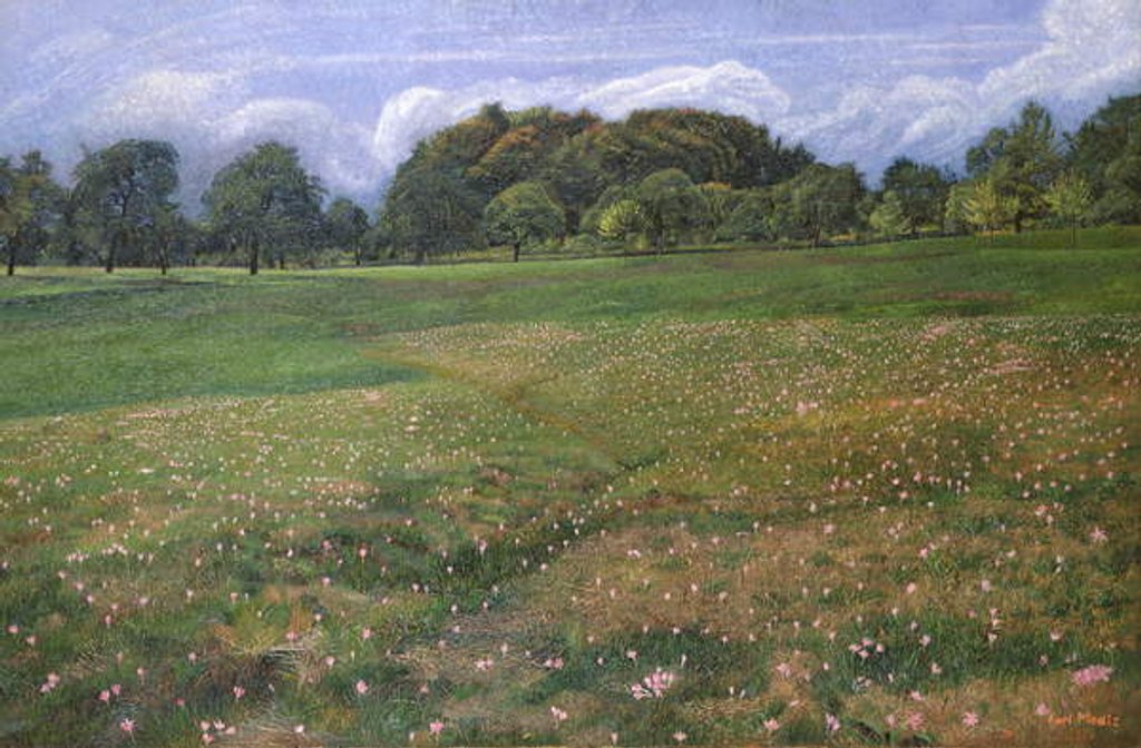 Detail of A Field of Autumn Crocus, 1908 by Karl Mediz