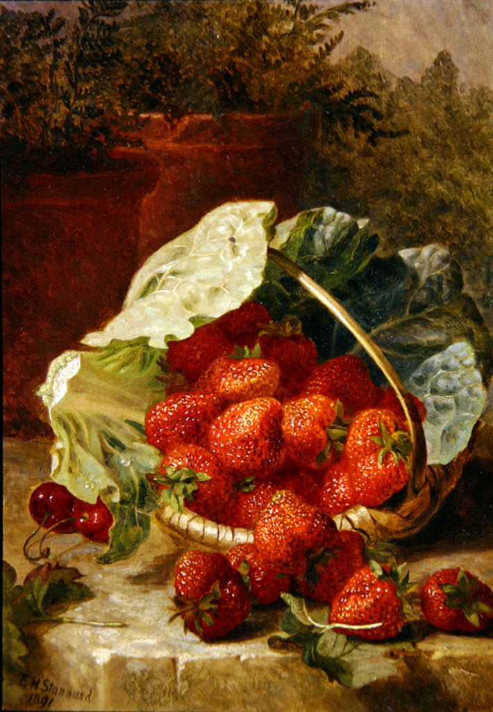 Detail of Strawberries in a cabbage leaf, 1891 by Eloise Harriet Stannard
