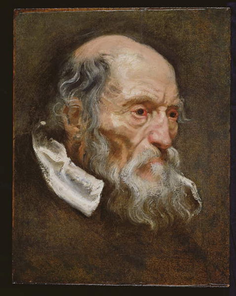 Detail of Portrait of an old man by Anthony van (attr. to) Dyck
