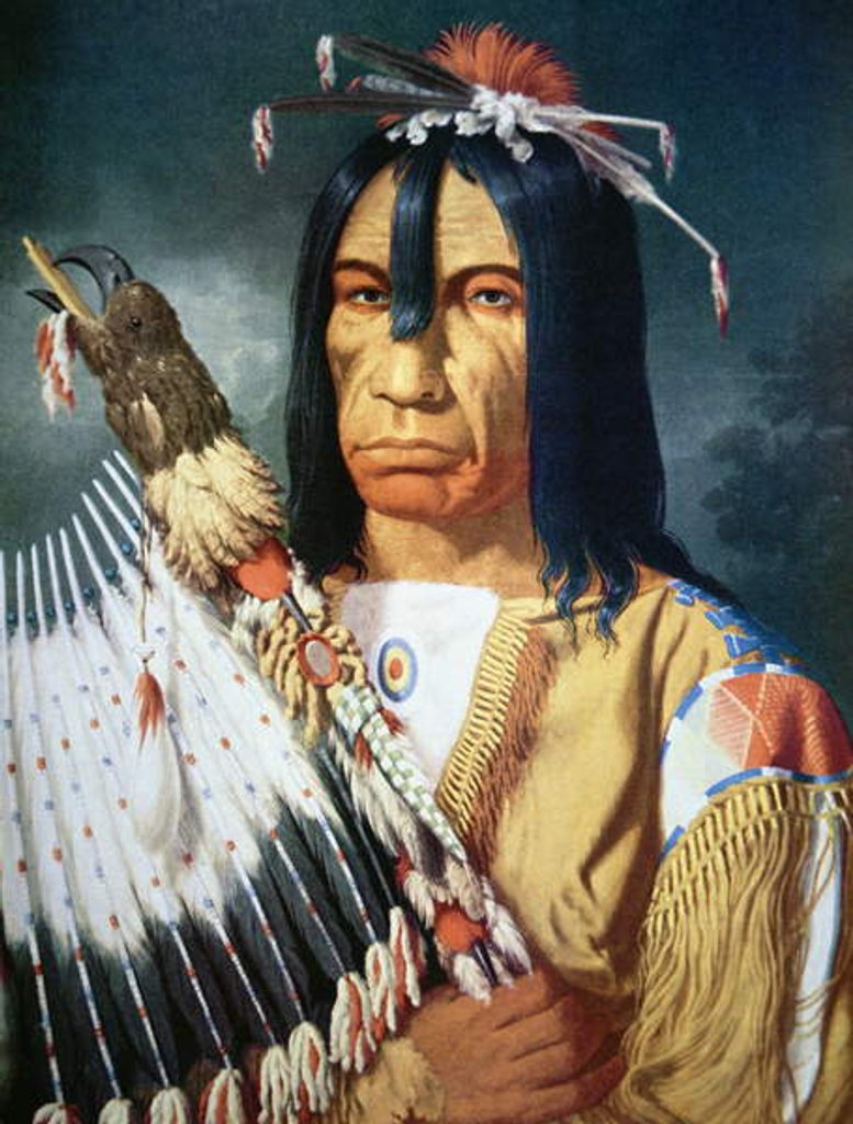 Detail of Native American Chief of the Cree people of Canada, 1848 by Paul Kane