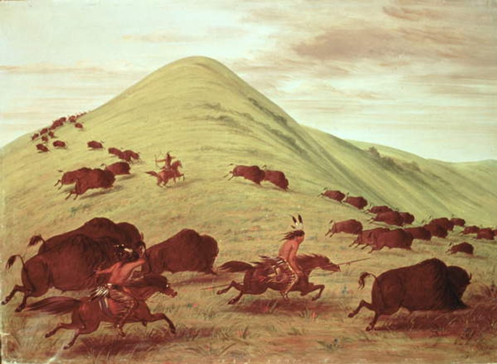 Detail of Sioux Indians hunting buffalo, 1835 by George Catlin