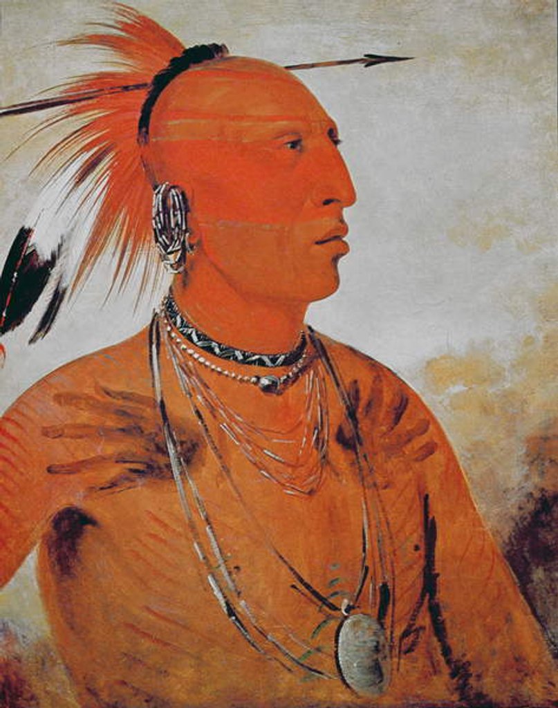 Detail of Brave Chief, 1832 by George Catlin