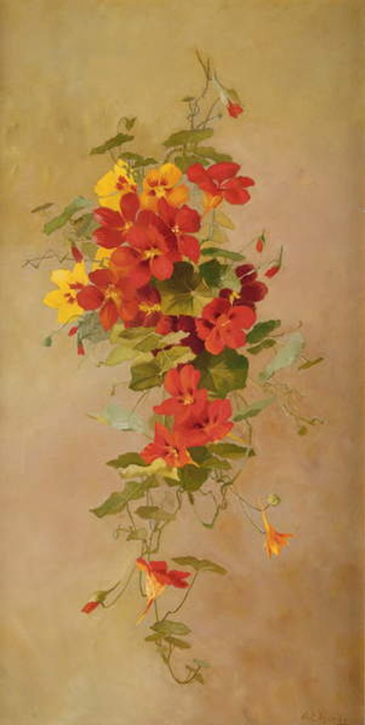 Detail of Nasturtiums by Anna Eliza Hardy