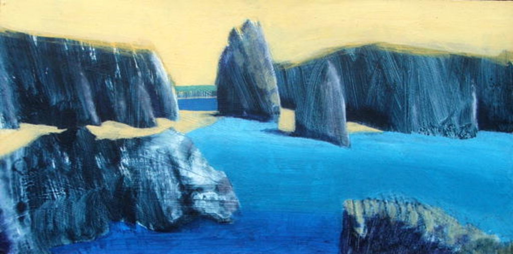 Detail of Kynance by Paul Powis