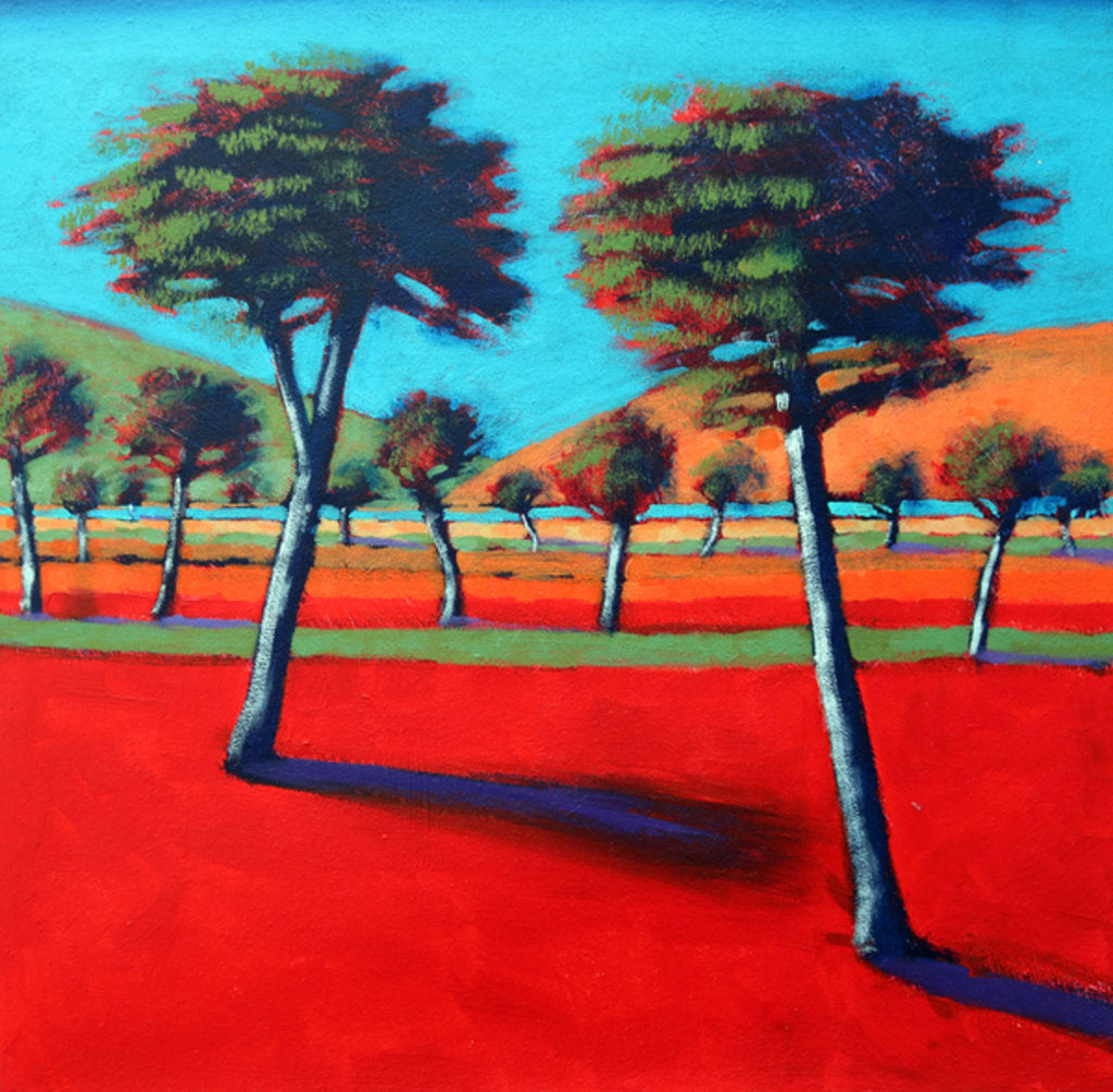 Detail of Son Vida I, 2014 by Paul Powis