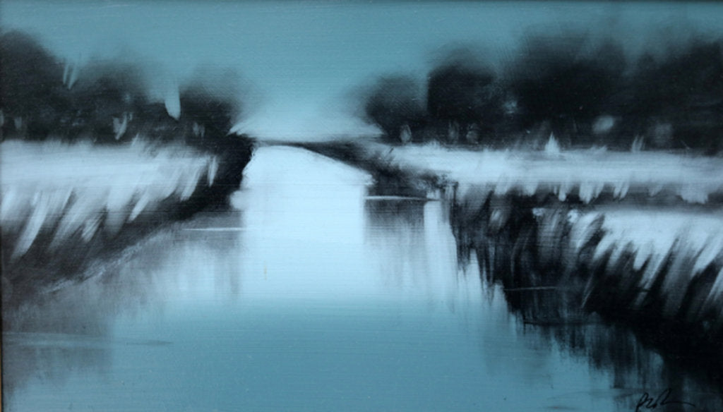 Detail of Nocturne, 2010 by Paul Powis