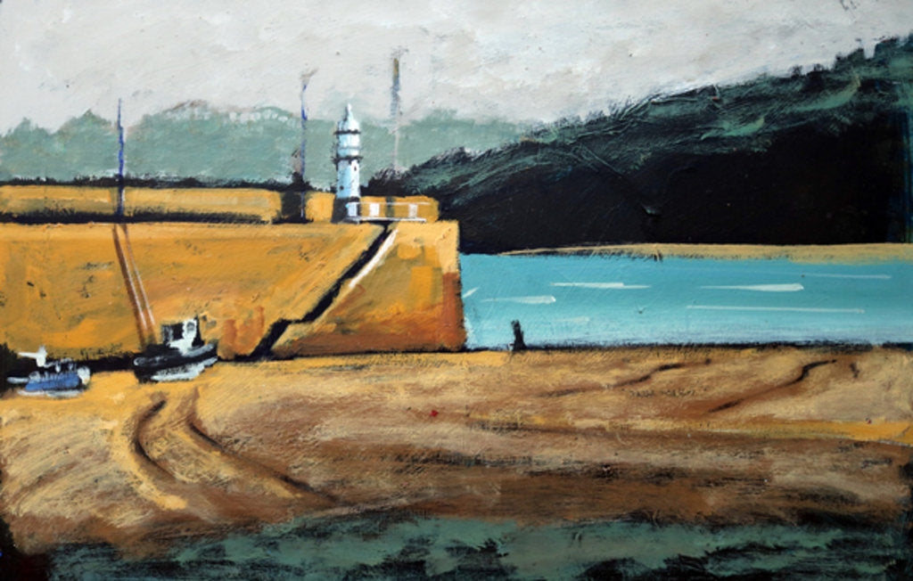 Detail of Smeaton's Pier, 2010 by Paul Powis