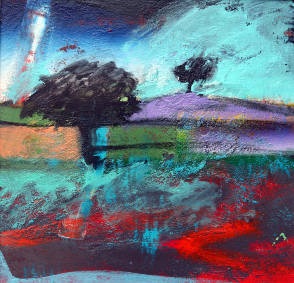 Detail of Crookbarrow Hill, 2012 by Paul Powis
