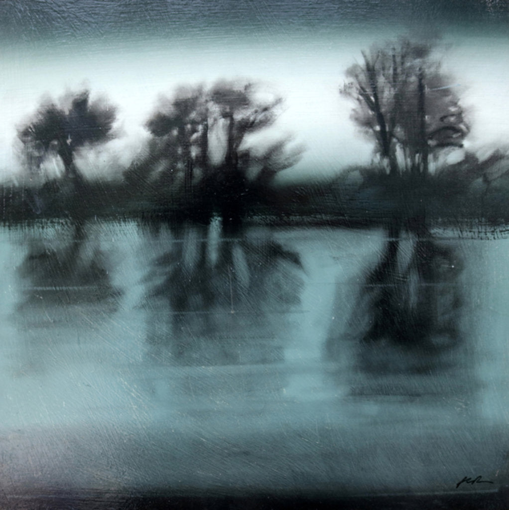 Detail of Flood, 2010 by Paul Powis