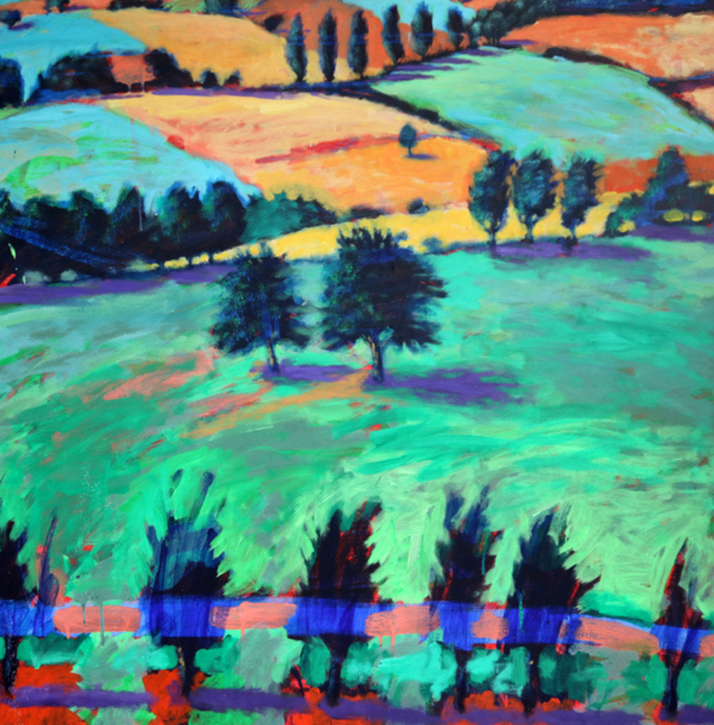 Detail of Martley, Worcestershire, 2010 by Paul Powis