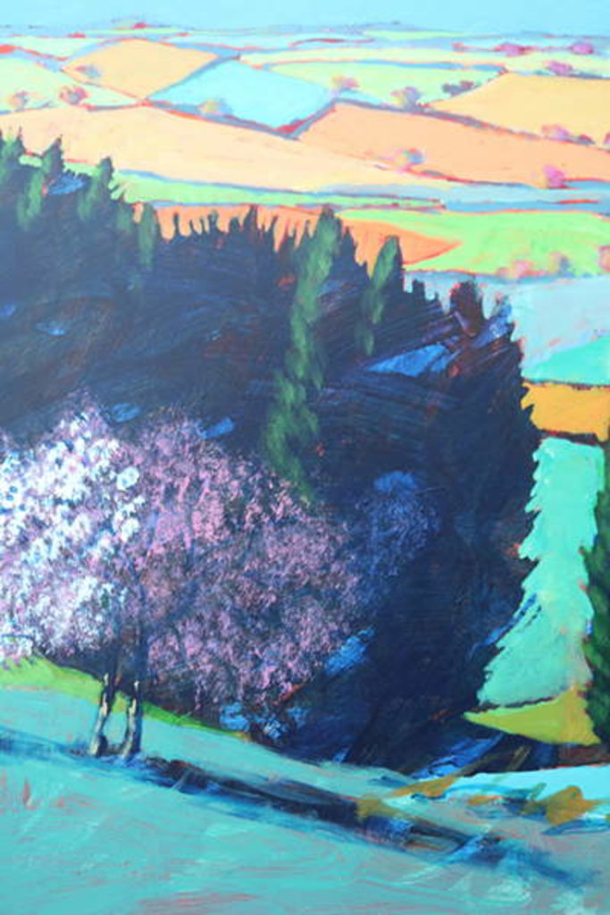 Detail of Teme Valley blossom close up 1 by Paul Powis