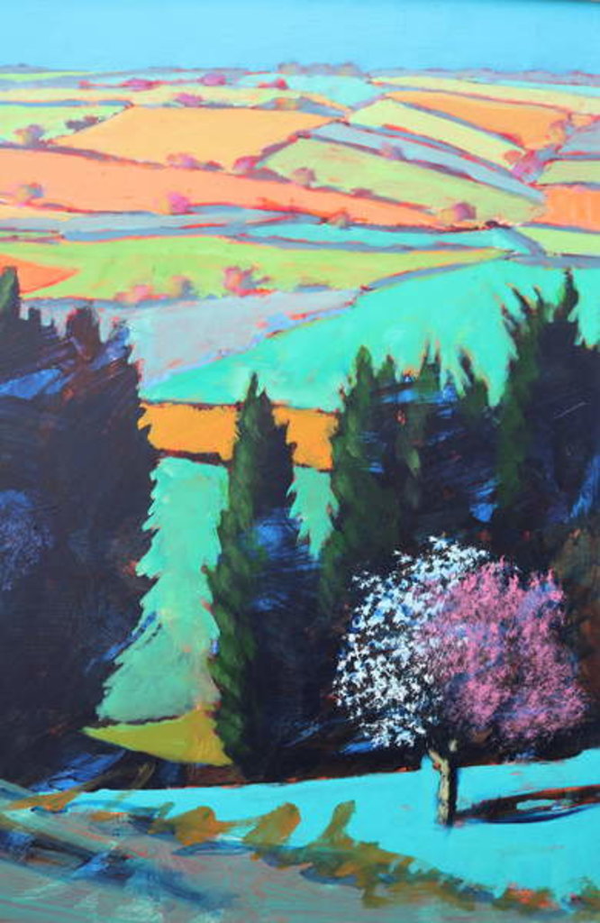 Detail of Teme Valley blossom close up by Paul Powis