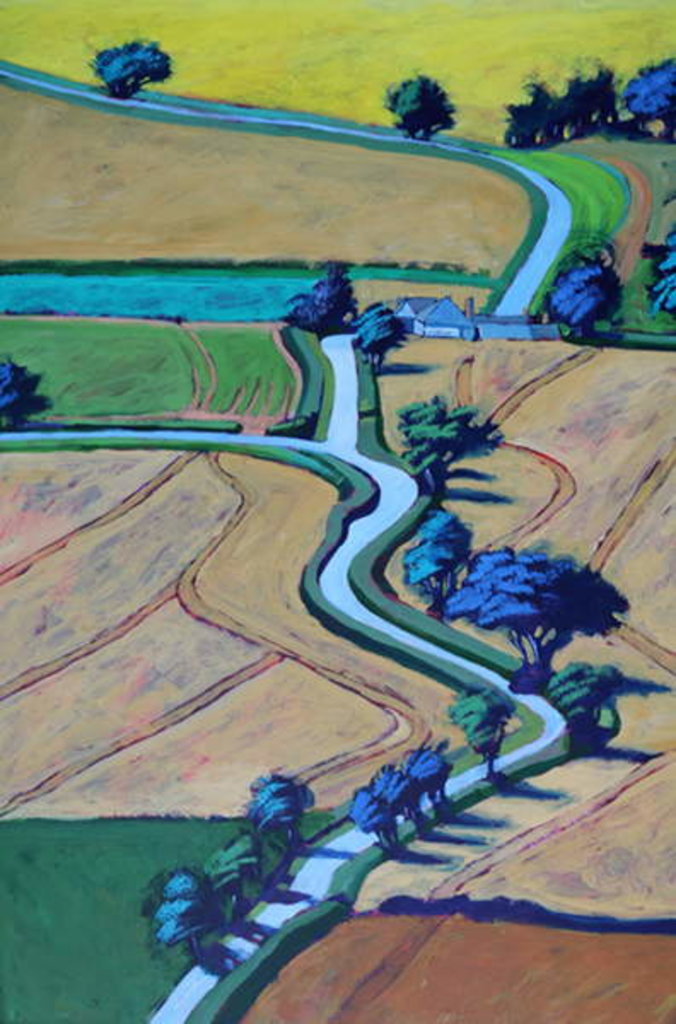 Detail of Lane in summer close up by Paul Powis