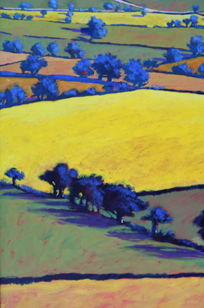 Detail of From Ragged Stone close up 2 by Paul Powis