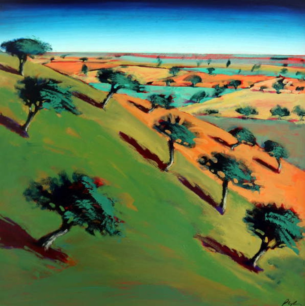 Detail of Ragged Stone Hill, 2019 by Paul Powis