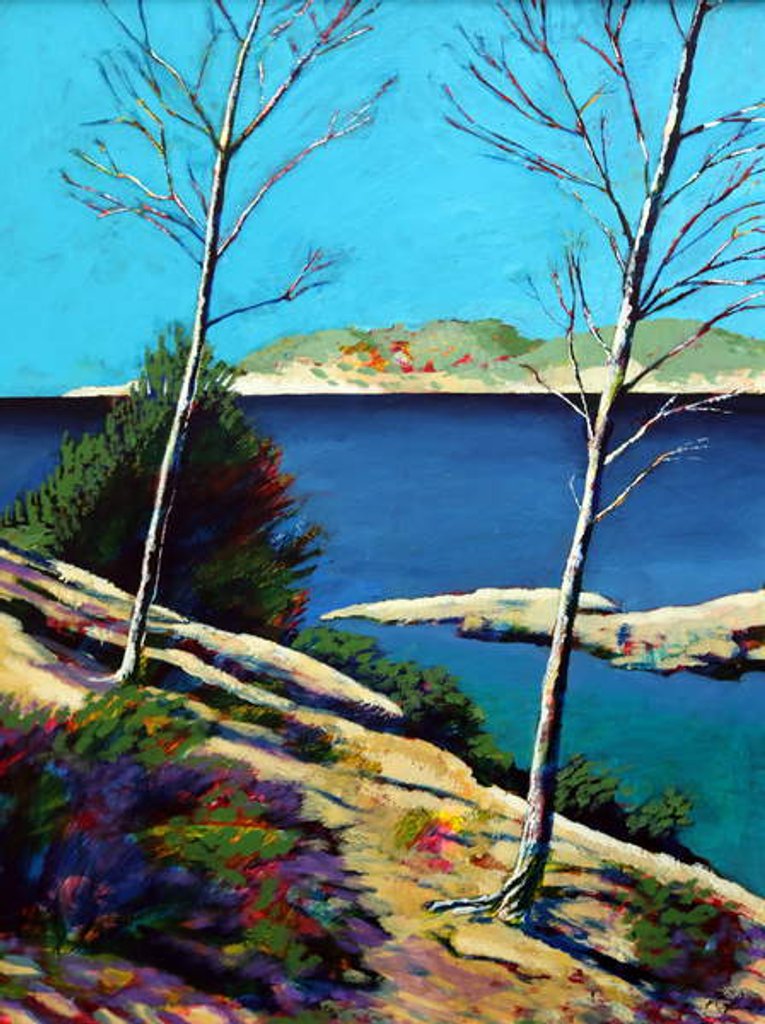 Detail of Peguera, 2019 by Paul Powis