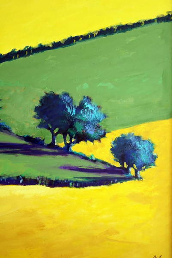 Detail of Whiteleaved oak close up 9, 2019 by Paul Powis