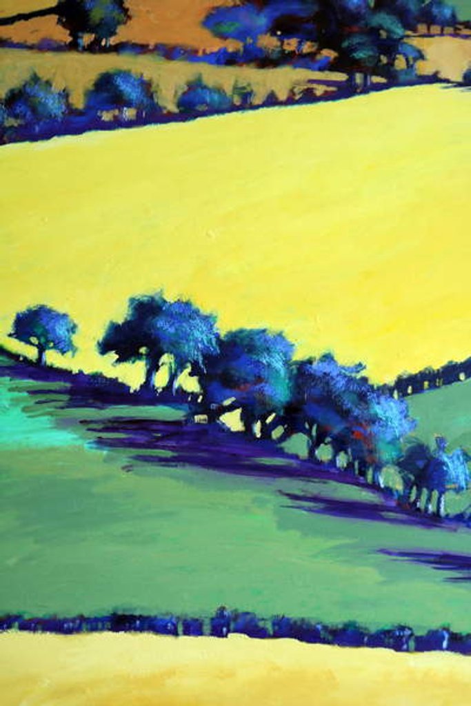 Detail of Whiteleaved oak close up 8, 2019 by Paul Powis