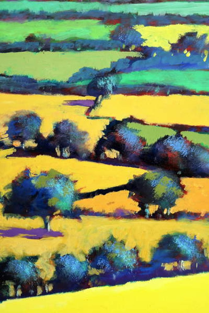 Detail of Whiteleaved oak close up 6, 2019 by Paul Powis