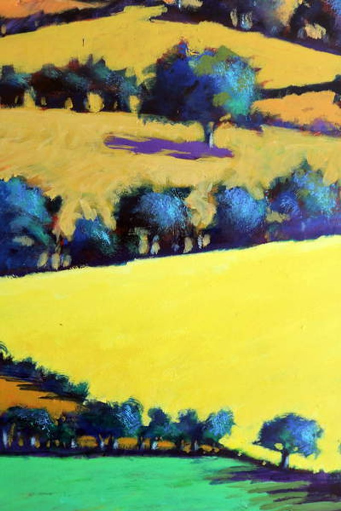 Detail of Whiteleaved oak close up 3, 2019 by Paul Powis