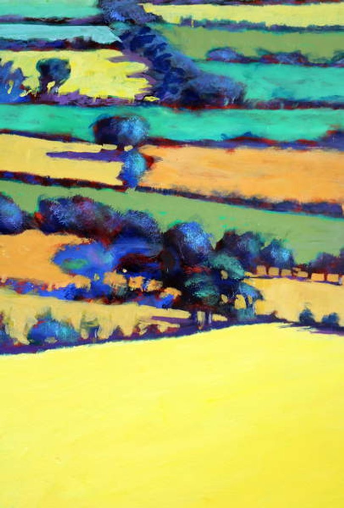 Detail of Whiteleaved oak close up 2, 2019 by Paul Powis