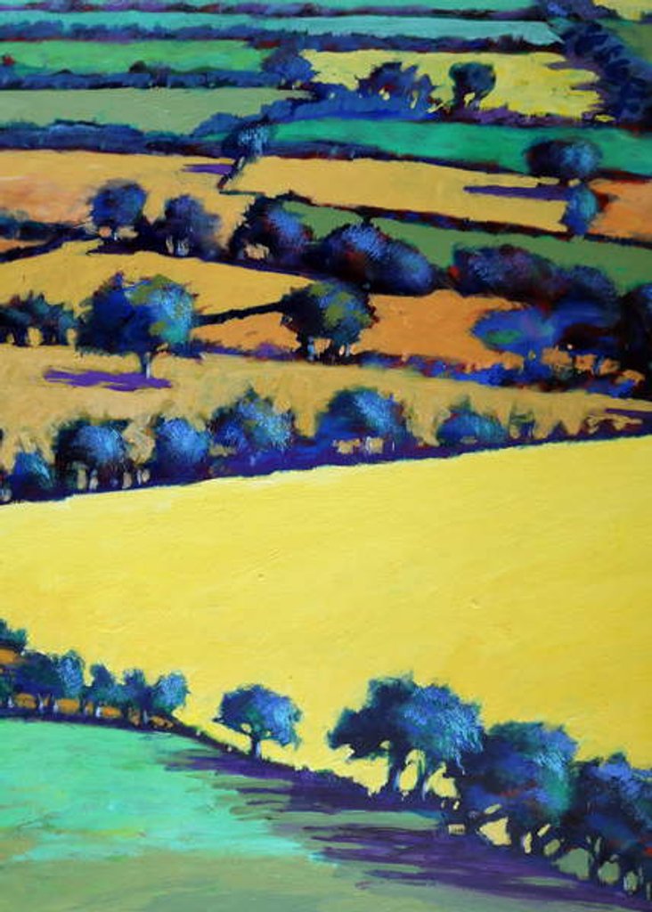 Detail of Whiteleaved oak close up 1, 2019 by Paul Powis