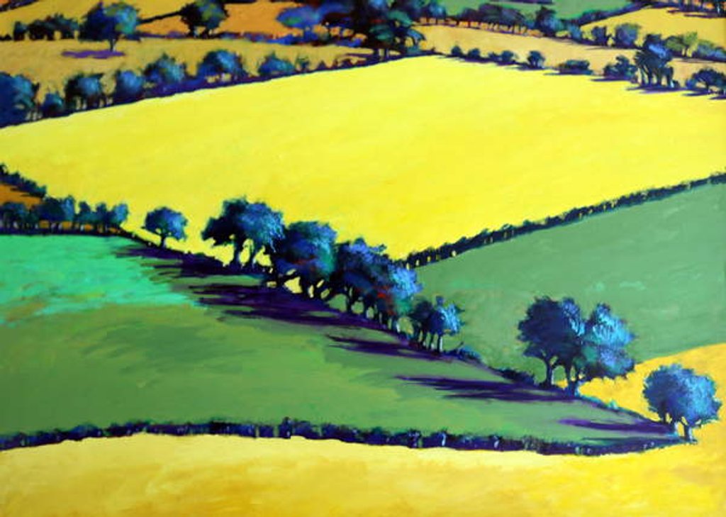 Detail of Whiteleaved oak close up, 2019 by Paul Powis