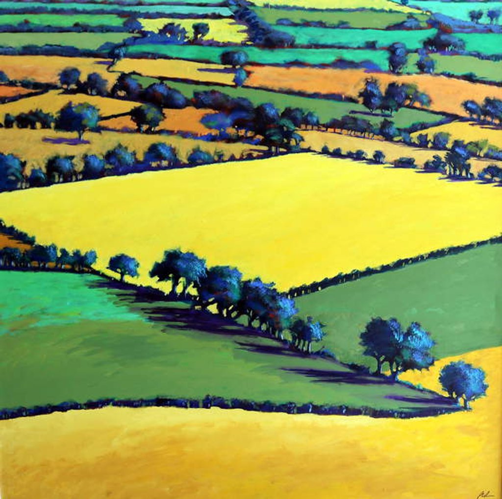 Detail of Whiteleaved oak, 2019 by Paul Powis