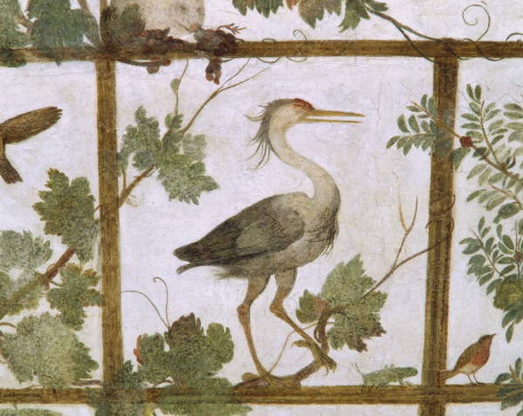Detail of Ibis, from a Fresco of an Aviary in the Villa Medici, c.1576-77 by Jacopo Zucchi