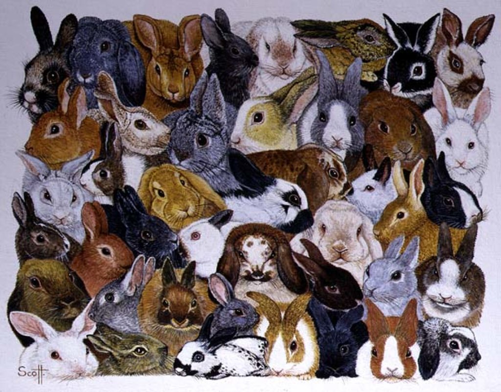 Detail of Bright Eyes by Pat Scott