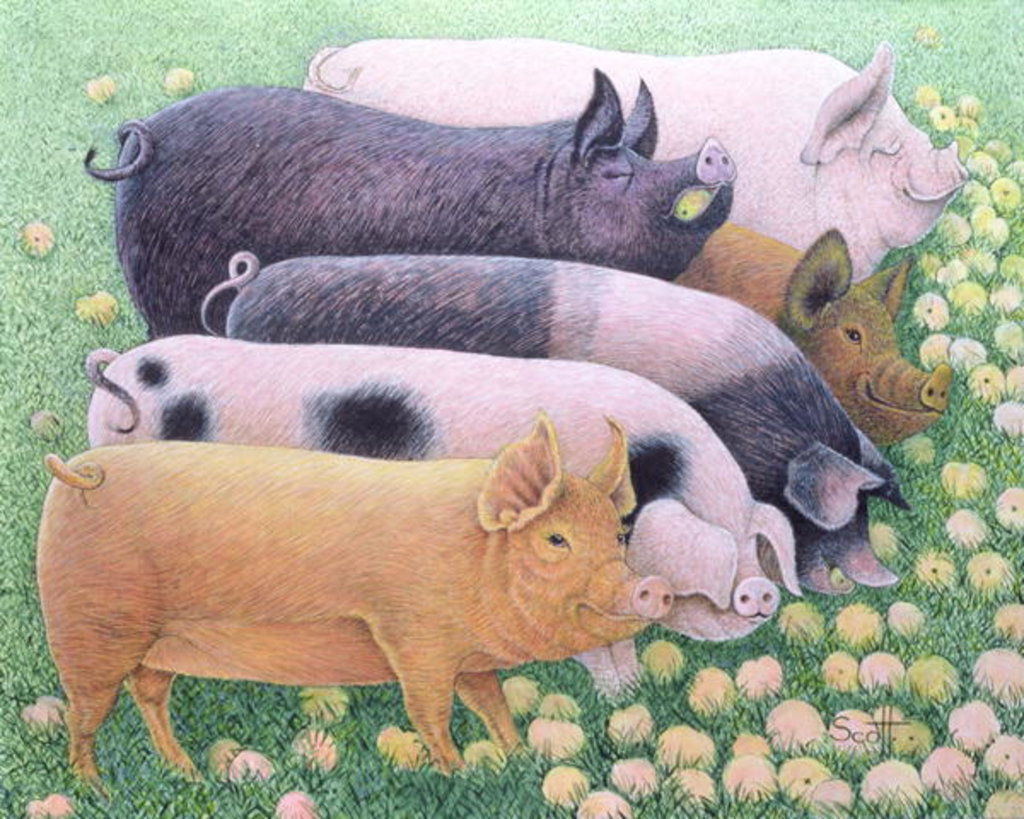 Detail of Pure Pleasure by Pat Scott