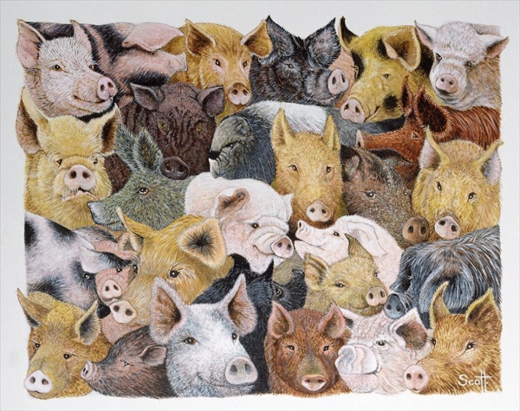 Detail of Pigs Galore by Pat Scott