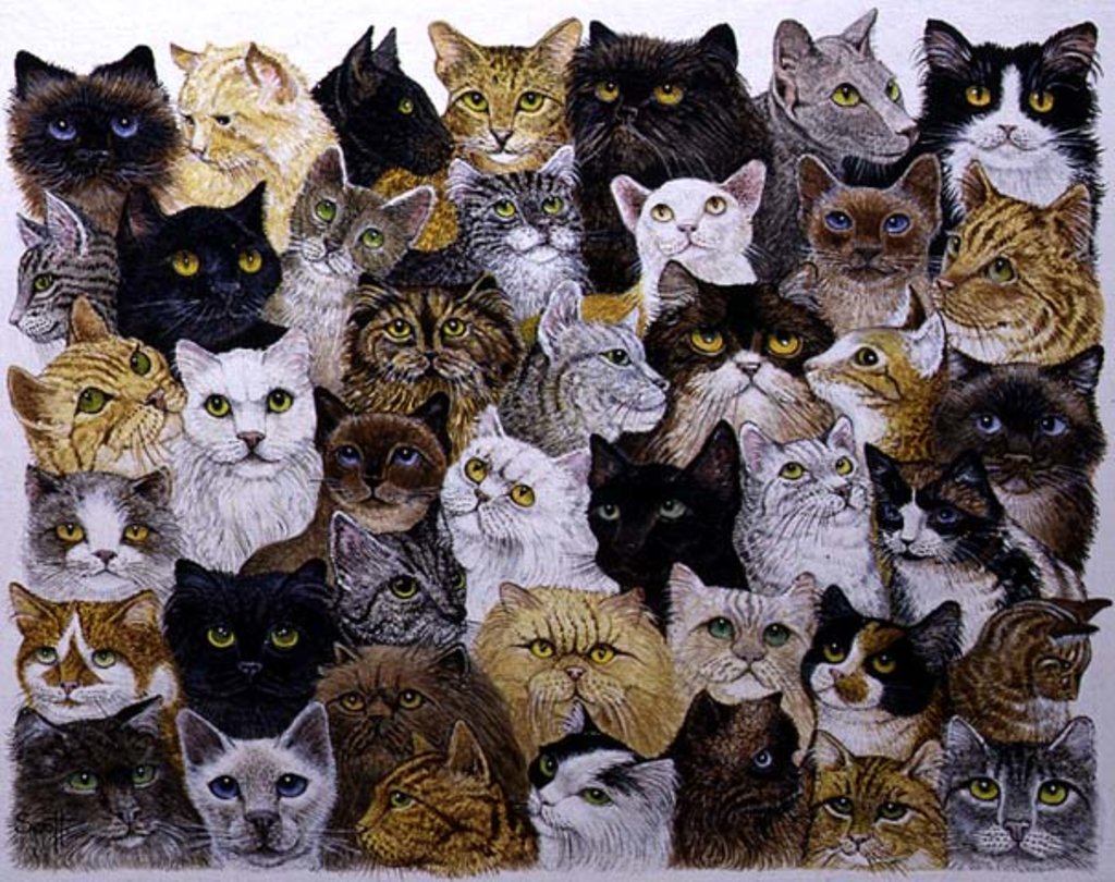 Detail of Just the Cat's Whisker by Pat Scott