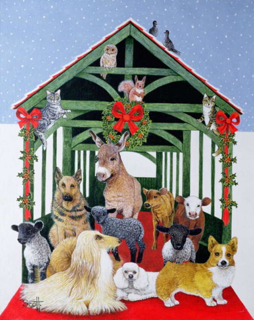 Detail of Protected by Pat Scott