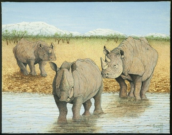 Detail of A tough life by Pat Scott