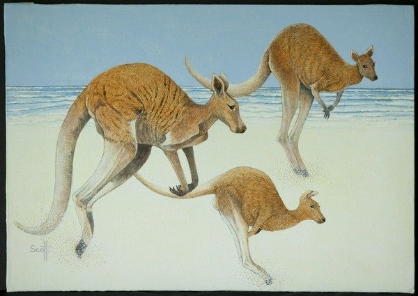 Detail of Leaping ahead by Pat Scott