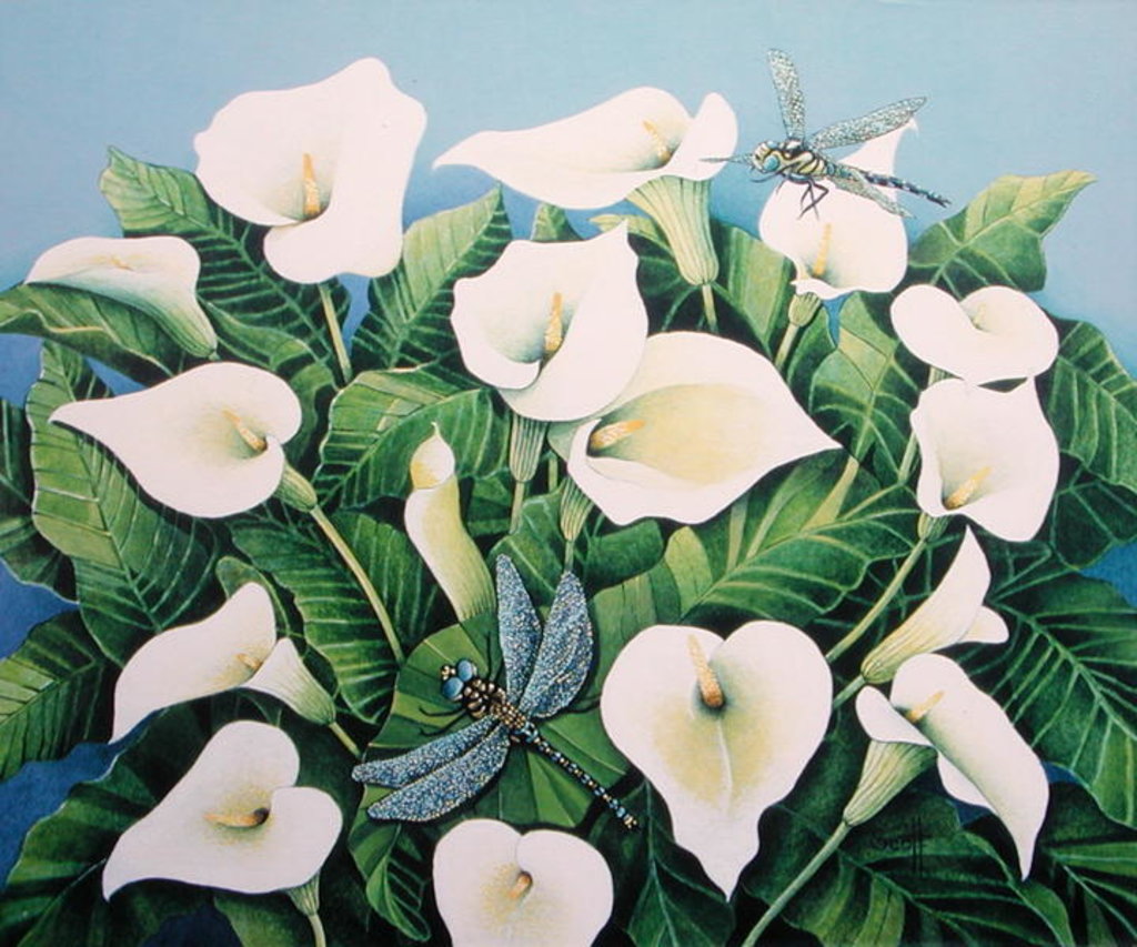 Detail of Dragon Flies by Pat Scott