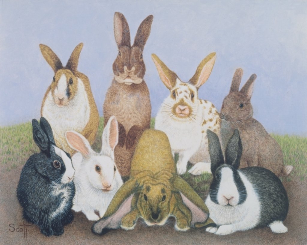 Detail of We are All Ears by Pat Scott