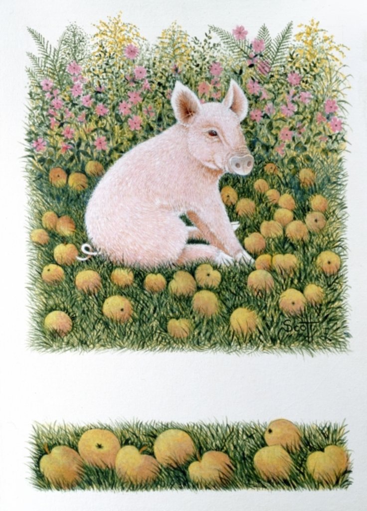 Detail of One More Apple by Pat Scott