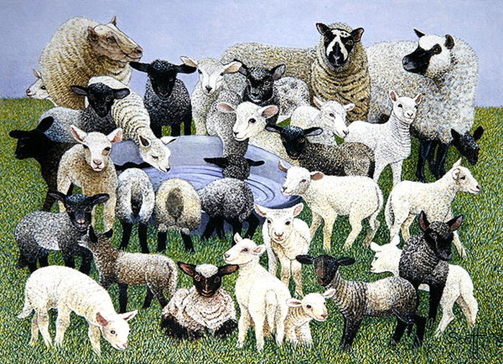Detail of Feeling Sheepish by Pat Scott