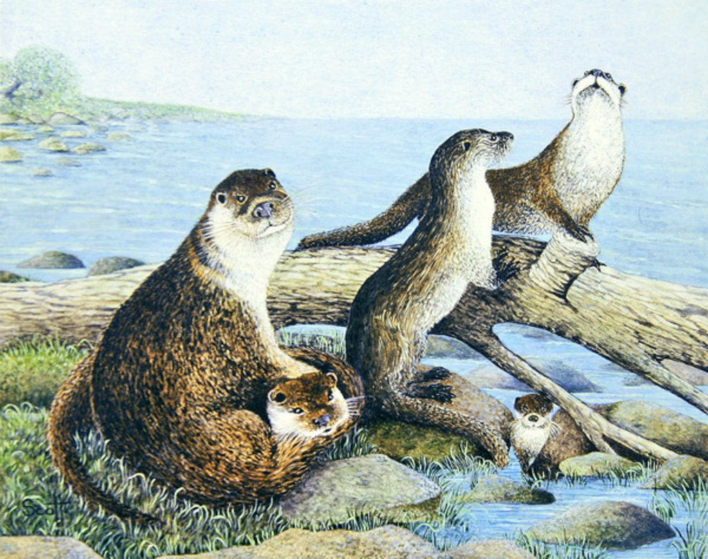 Detail of Playtime by Pat Scott