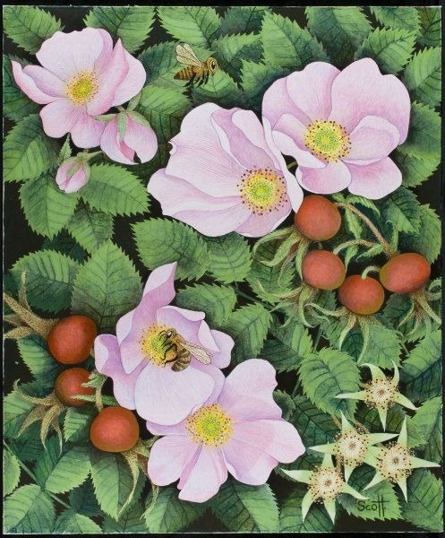 Detail of Team Work, 2011 by Pat Scott