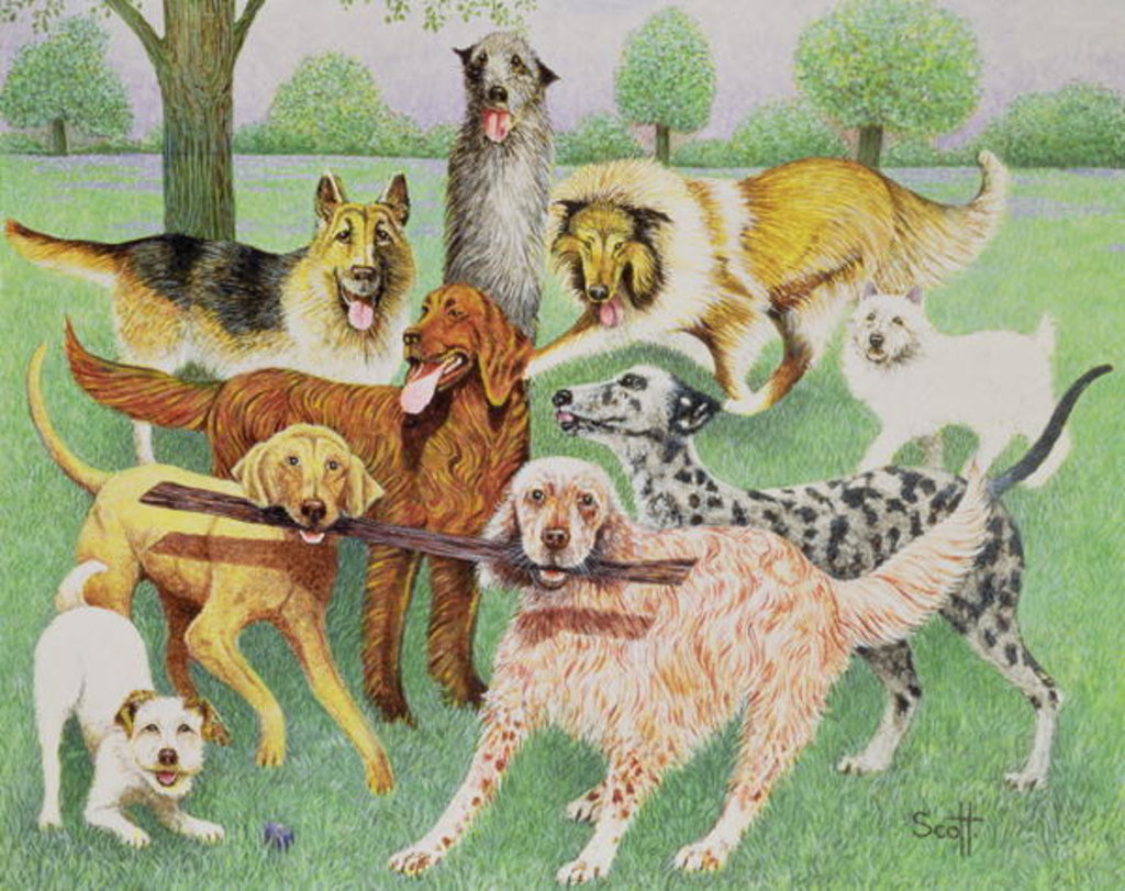 Detail of Catch and Carry by Pat Scott